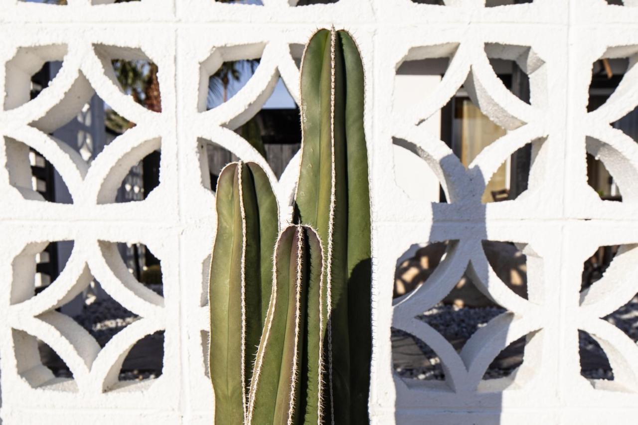 Mid-Century Modern Home In Beautiful La Quinta Exteriör bild